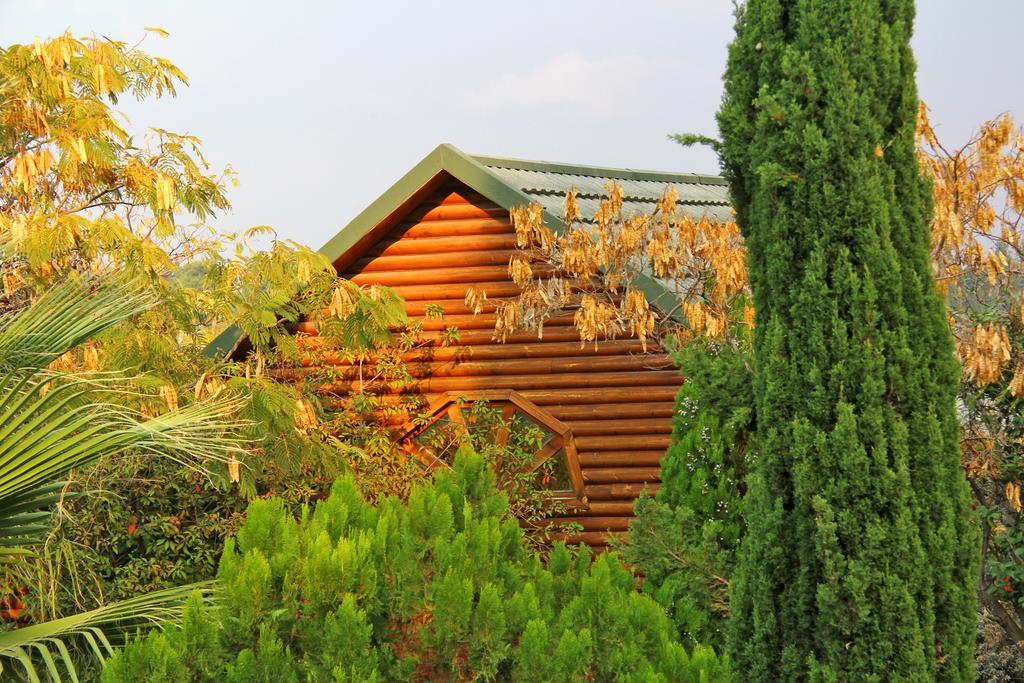 Rosh Pinat Noy Villa ภายนอก รูปภาพ